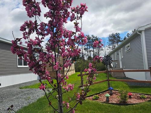 86 Sunrise Court, Upper Onslow, NS 