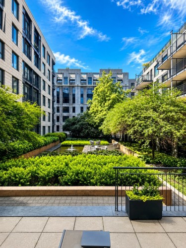 Jardin - 200-340 Rue Du Champ-De-Mars, Montréal (Ville-Marie), QC 