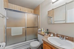 Master Bathroom - 