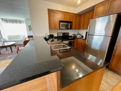Cuisine - 1102-650 Rue Jean-D'Estrées, Montréal (Ville-Marie), QC - Indoor Photo Showing Kitchen With Double Sink