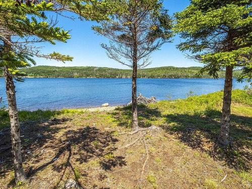 9118 316 Highway, New Harbour, NS 