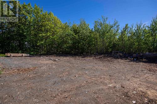 13 Pennells Road, Conception Bay South, NL - Outdoor