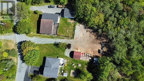 13 Pennells Road, Conception Bay South, NL - Outdoor With View
