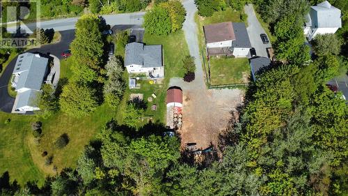 13 Pennells Road, Conception Bay South, NL - Outdoor With View