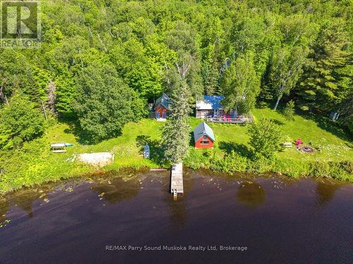 472 Long Lake Road, Parry Sound Remote Area (East Mills), ON - Outdoor With Body Of Water