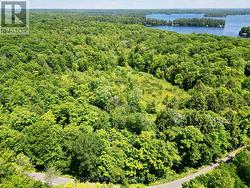0 ACTON ISLAND ROAD Muskoka Lakes (Medora), ON P0B 1J0