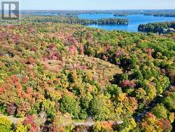 0 ACTON ISLAND ROAD Muskoka Lakes (Medora), ON P0B 1J0