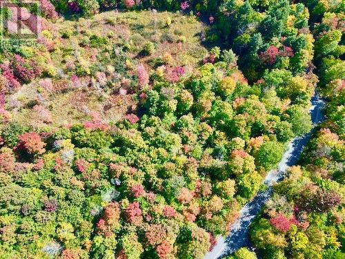 0 Acton Island Road, Muskoka Lakes (Medora), ON 