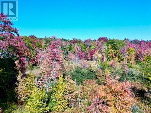 0 Acton Island Road, Muskoka Lakes (Medora), ON 