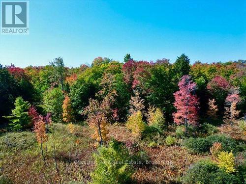 0 Acton Island Road, Muskoka Lakes (Medora), ON 