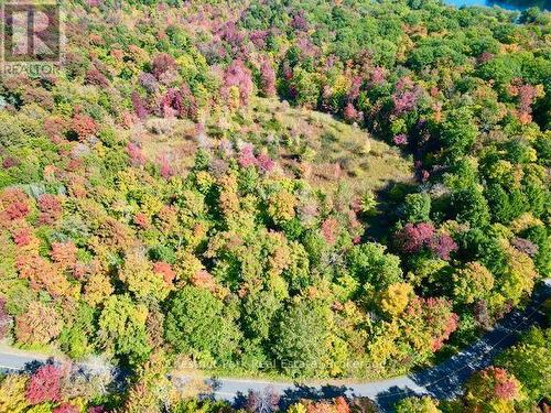 0 Acton Island Road, Muskoka Lakes (Medora), ON 