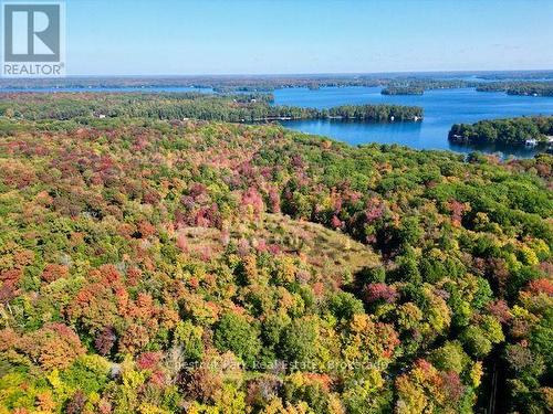 0 Acton Island Road, Muskoka Lakes (Medora), ON 