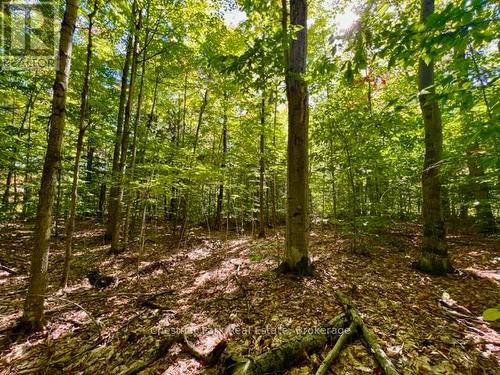 0 Acton Island Road, Muskoka Lakes (Medora), ON 
