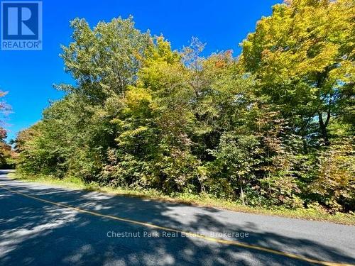 0 Acton Island Road, Muskoka Lakes (Medora), ON 