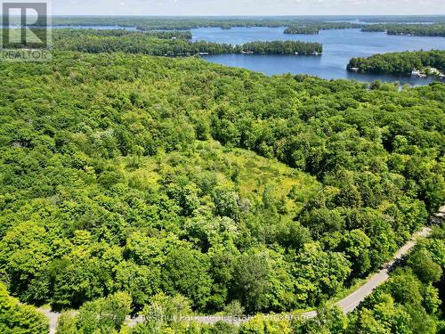 0 Acton Island Road, Muskoka Lakes (Medora), ON 