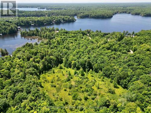 0 Acton Island Road, Muskoka Lakes (Medora), ON 