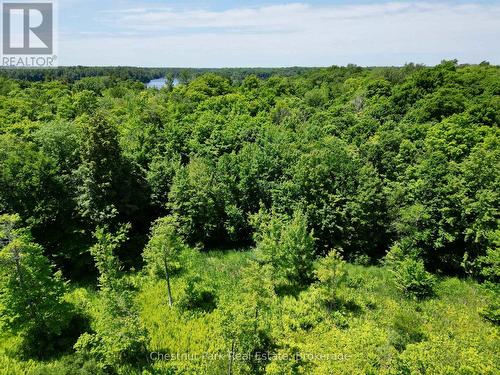 0 Acton Island Road, Muskoka Lakes (Medora), ON 