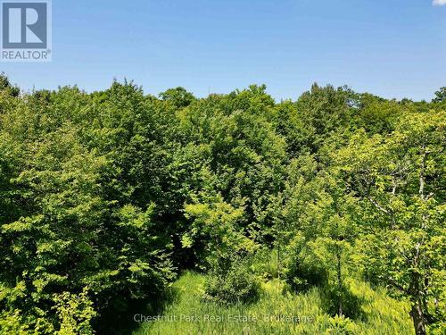 0 Acton Island Road, Muskoka Lakes (Medora), ON 