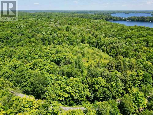 0 Acton Island Road, Muskoka Lakes (Medora), ON 