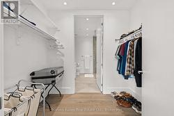 Primary walk-through closet - 