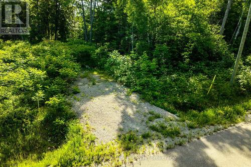 36 Seguin Crescent, Tiny, ON 