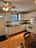Light-toned wood-finish flooring complements the kitchen's white cabinetry and green countertops - 227 Fergus Avenue, Kitchener, ON 