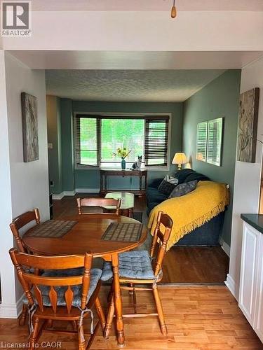Open living area with wood-finish flooring and a large window providing abundant natural light - 227 Fergus Avenue, Kitchener, ON 