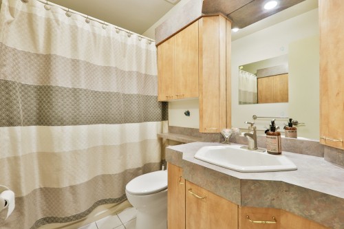Bathroom - 8377 Rue Marius-Barbeau, Laval (Saint-François), QC - Indoor Photo Showing Bathroom