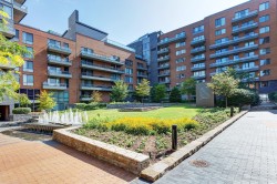 Jardin - 