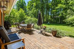 back deck - 