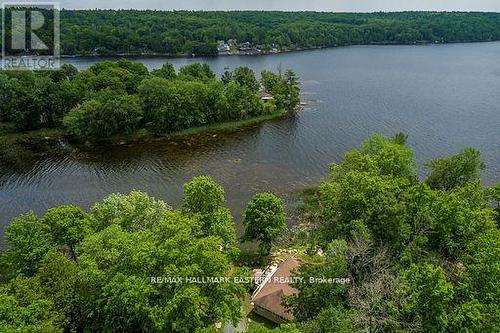 504 PINE POINT LANE , Madoc, Ontario K0K 2K0 3