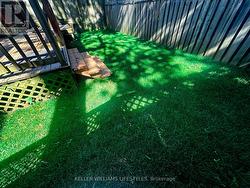 Newer Steps - 