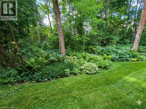 Expansive lawn bordering a lush, naturally landscaped area with mature trees and varied foliage - 120 Beddoe Drive Unit# 6, Hamilton, ON 