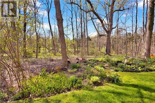 Expansive natural landscape featuring mature trees and a manicured lawn - 120 Beddoe Drive Unit# 6, Hamilton, ON 