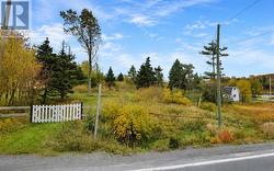 49 Main Road  New Harbour, NL A0B 1P0