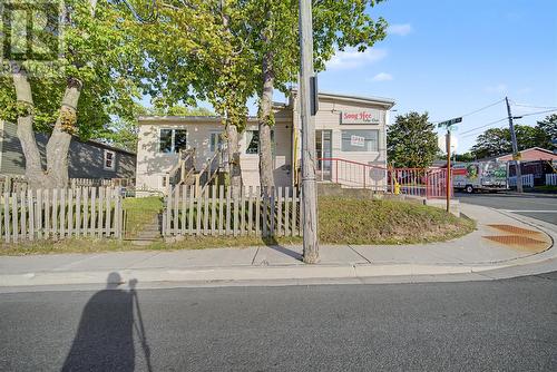 209 Empire Avenue, St. John'S, NL 
