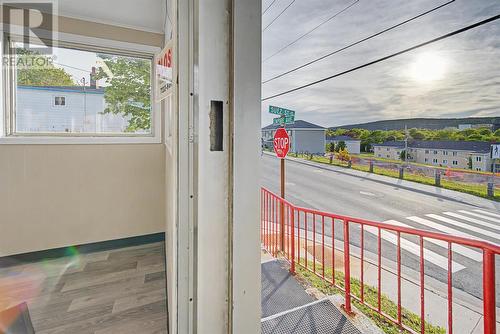 209 Empire Avenue, St. John'S, NL 