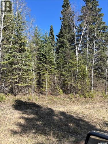 6 Buckingham Trail, Big River Rm No. 555, SK 