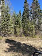 6 Buckingham TRAIL Big River Rm No. 555, SK S0J 0E0