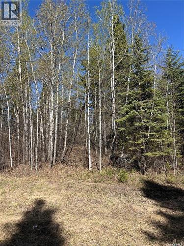 6 Buckingham Trail, Big River Rm No. 555, SK 