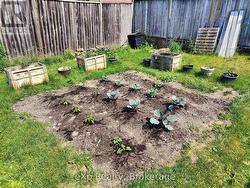 Back Garden - 