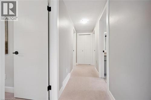 40 Walnut Drive, Guelph, ON 