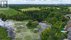 Expansive natural water feature with lily pads and dense perimeter foliage - 