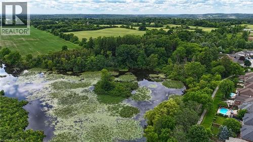 Expansive natural water feature with lily pads and dense perimeter foliage - 95 Drinkwater Drive, Cambridge, ON - Outdoor With View