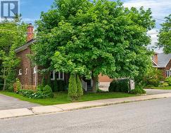 101 NAPIER STREET  Kingston (Central City East), ON K7L 4G2