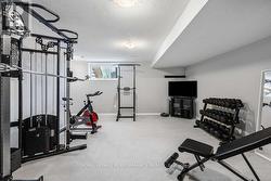Basement - Gym - 