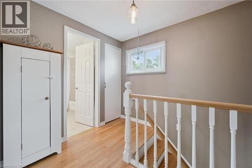 10 Radcliffe Drive, Kitchener, ON 