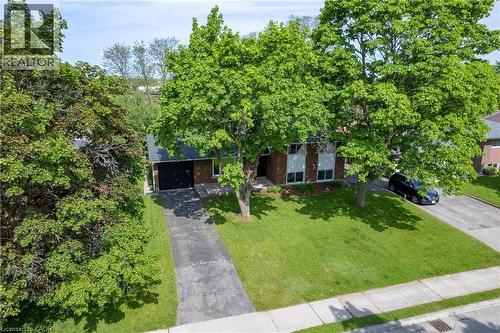 19 Taylor Avenue, Cambridge, ON 