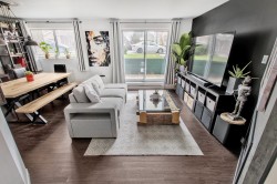Salon - 