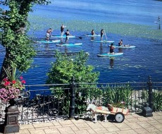 Bord de l'eau - 